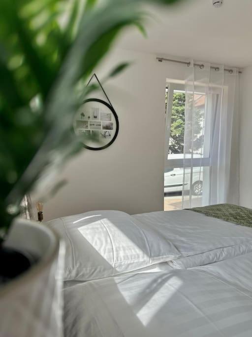Amao-Pearl I Comfort Suite I 94Qm I Kingsize-Bett I Exklusiv Mit Balkon & Tiefgarage I Aufzug Offenburg Exterior foto